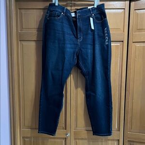 Lane Bryant Deep Blue Skinny Jeans